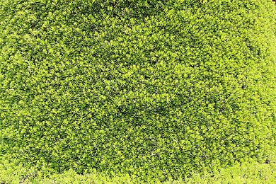 肉鸽策略冒险游戏《背包英雄》将于 8月16日推出