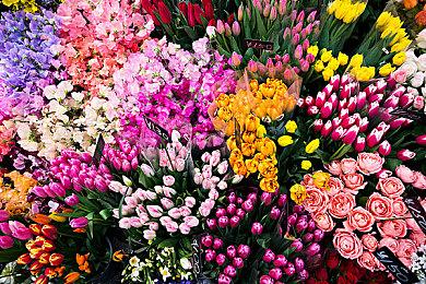 《铁拳8》联机人数过多出现BUG 官方正在调查